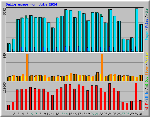 Daily usage for July 2024