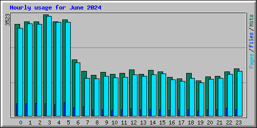 Hourly usage for June 2024